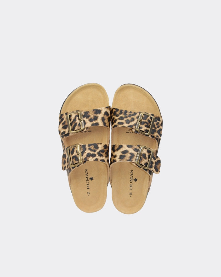 IBIZA - OCELOT