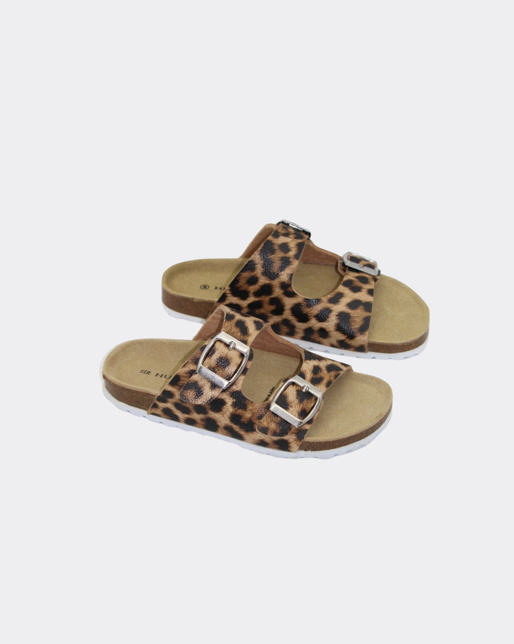 MOLLY - OCELOT