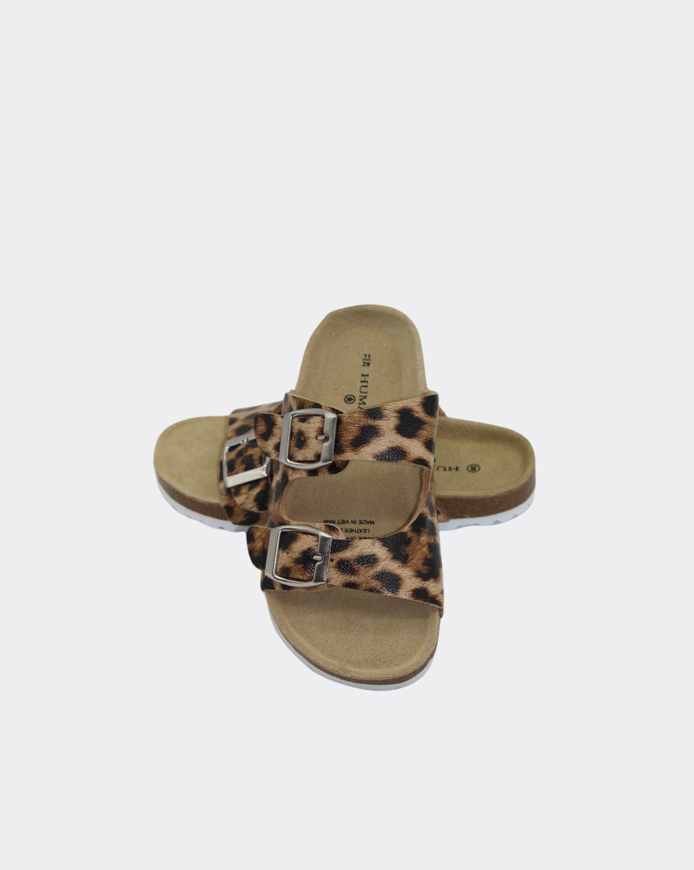MOLLY - OCELOT